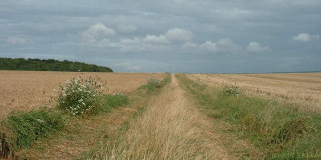 Bosquel (Plaine)
