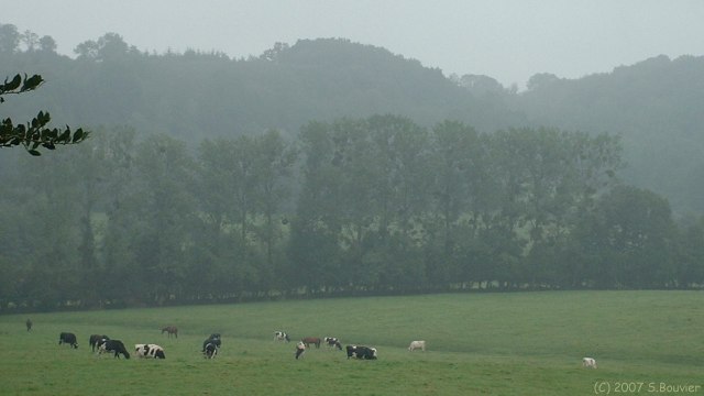St Sylvestre de Cormeilles (Prairie)