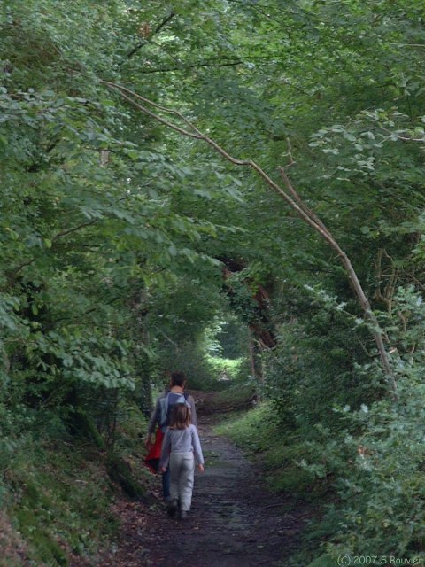Epaignes (Chemin)