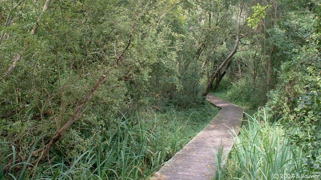 Fort-Mahon (Sentier 2)