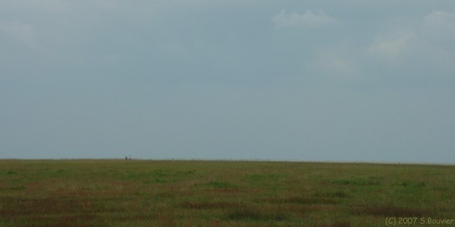 Fort-Mahon (Promeneurs)