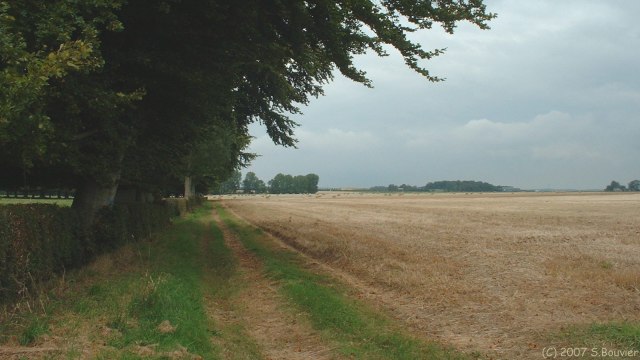 Londinières (Chemin 3)