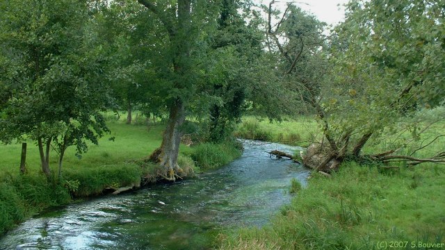 Londinières (l'Eaulne)