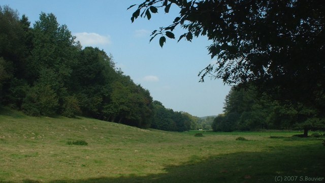 Saâne St Just (Prairie 1)