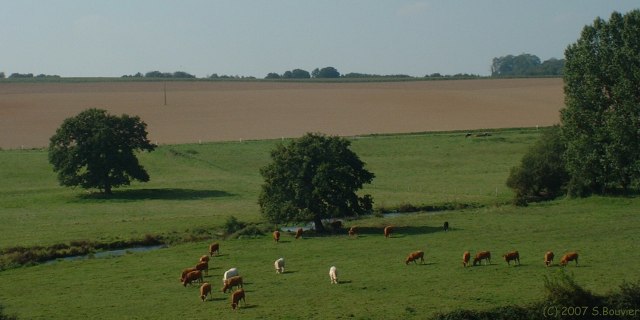 Saâne St Just (Prairie 2)