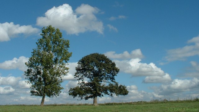 Val de Saâne (Arbres)