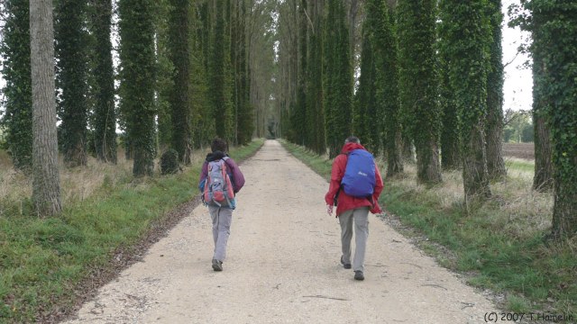 Derchigny (Avenue)