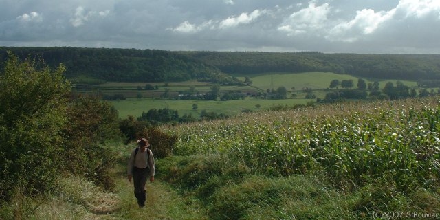 Ancourt (Vallée)
