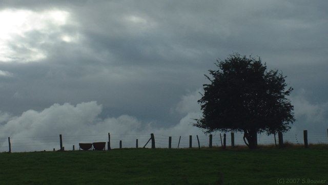 Derchigny (Abreuvoirs)