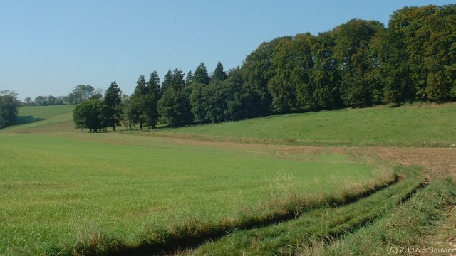 Derchigny (Goulets)
