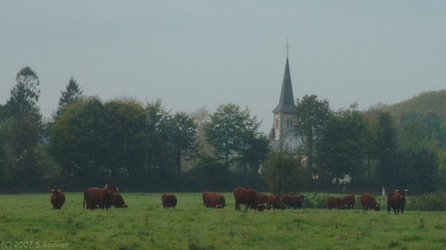 La Crique (Eglise)