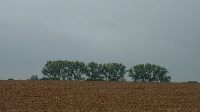 La Crique (Plaine)