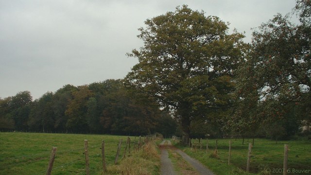 Bracquetuit (Chemin 1)