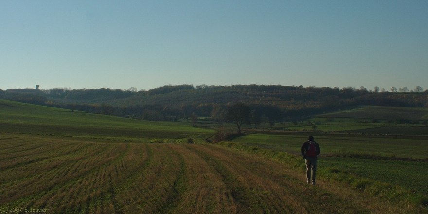 Fréauville (Chemin)