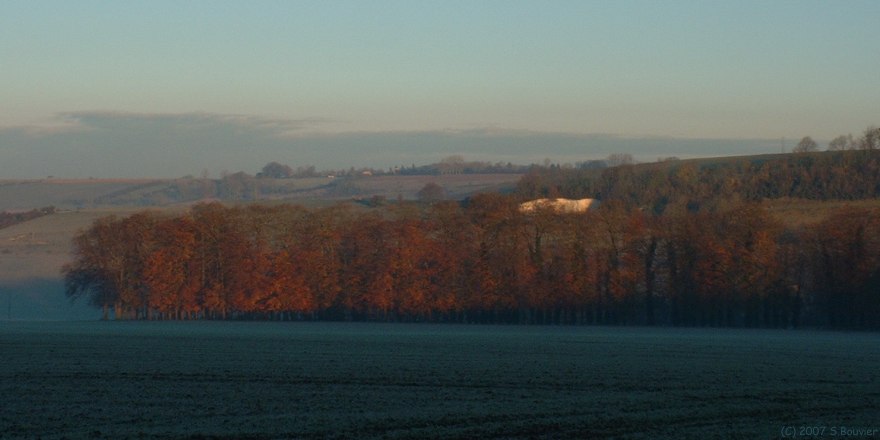 Croixdalle (Hêtres)