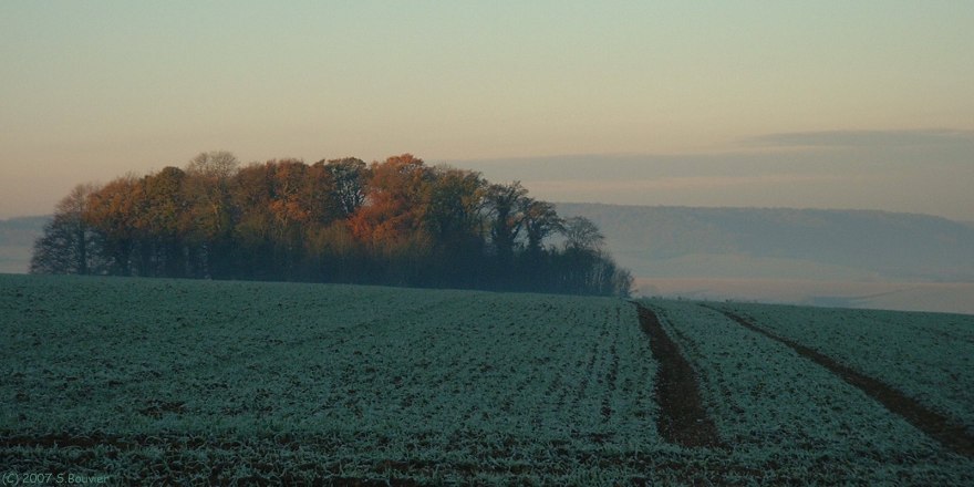 Croixdalle (Bois)
