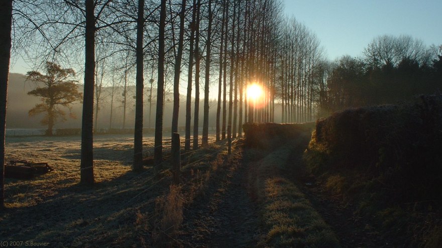 Croixdalle (Chemin)