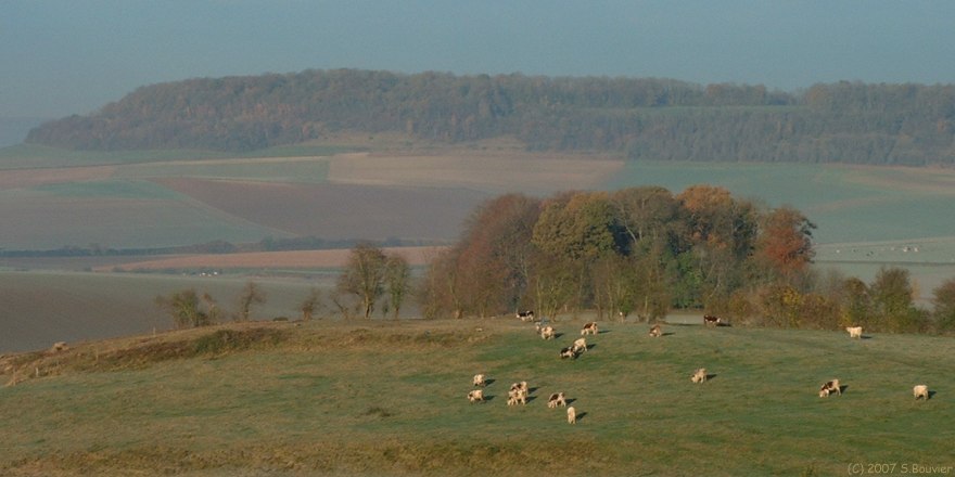 Croixdalle (la Hétraie)