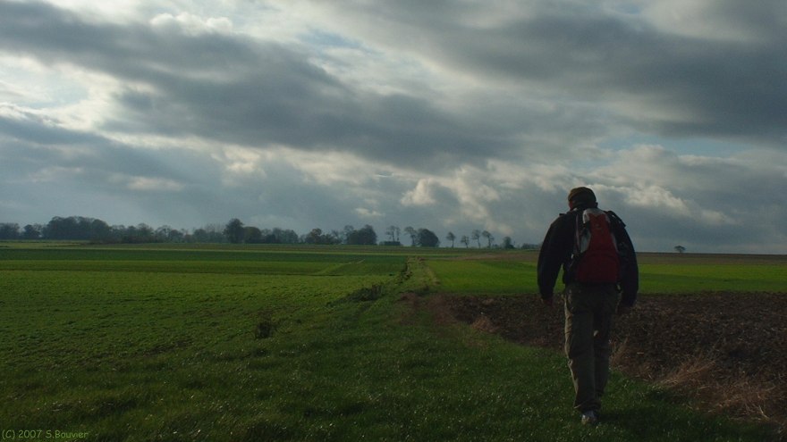 Gueutteville les Grès (Chemin)