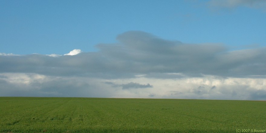 Manneville es Plains (Plaine)