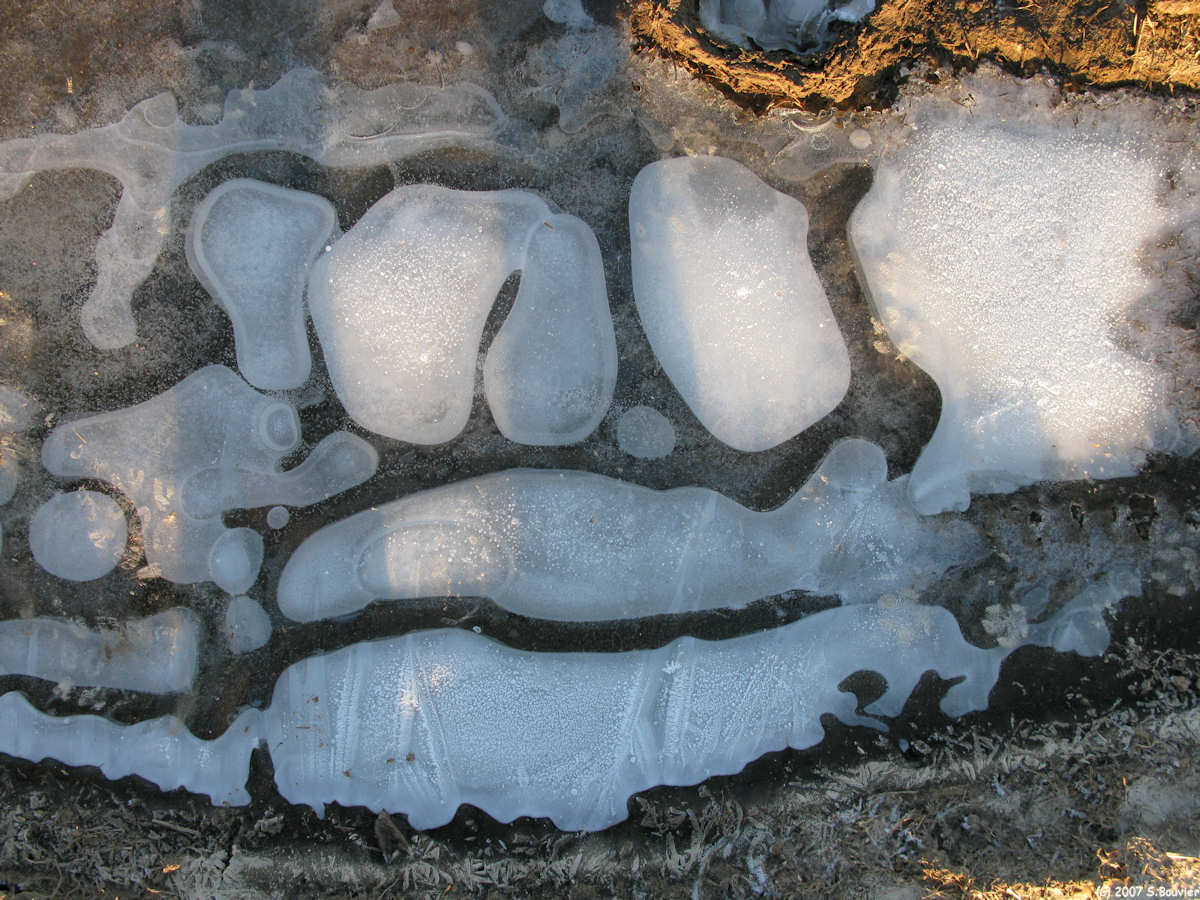 St Nicolas d'Aliermont (Glace)