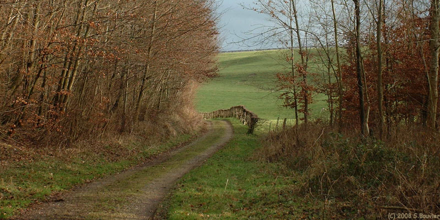 Saint-Saens (Chemin 3)