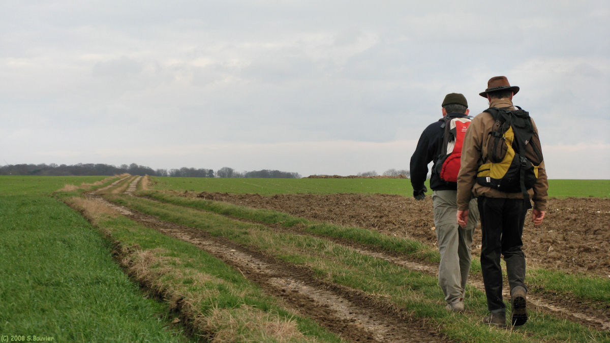 Ancourt (Chemin)