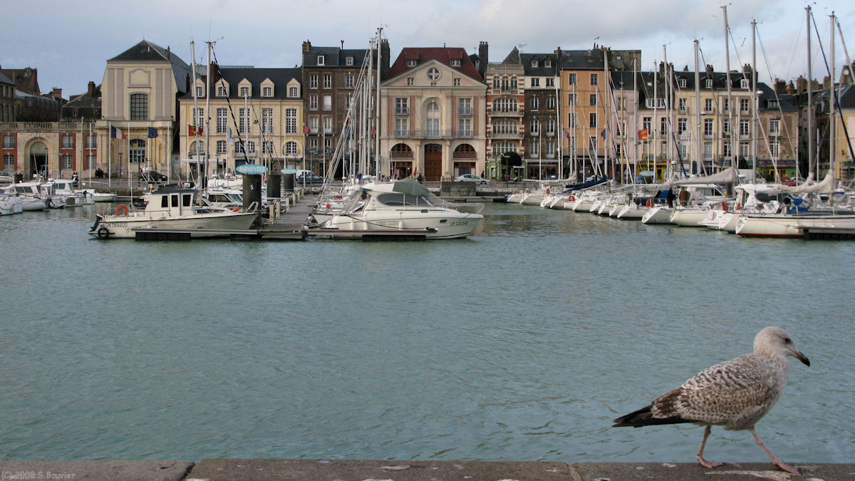 Dieppe (Goéland)