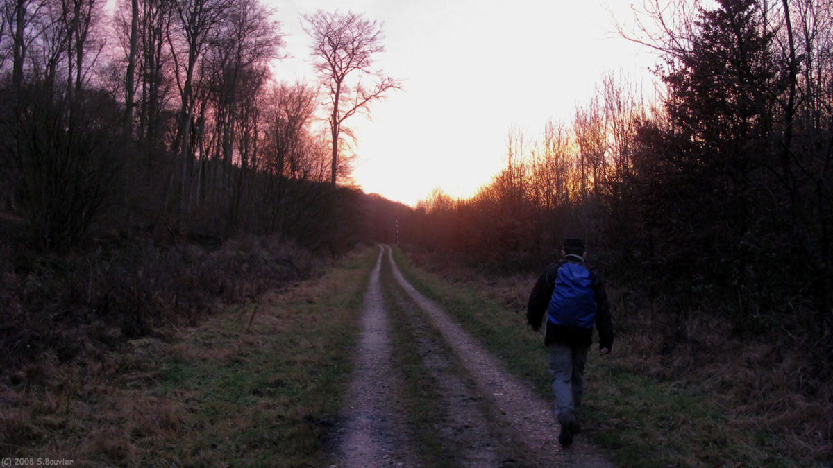 Forêt d'Eawy (Chemin)