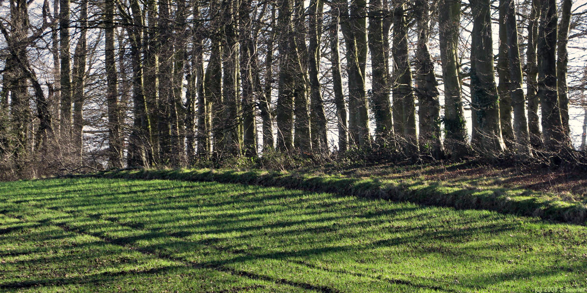 Berville (Ombres)