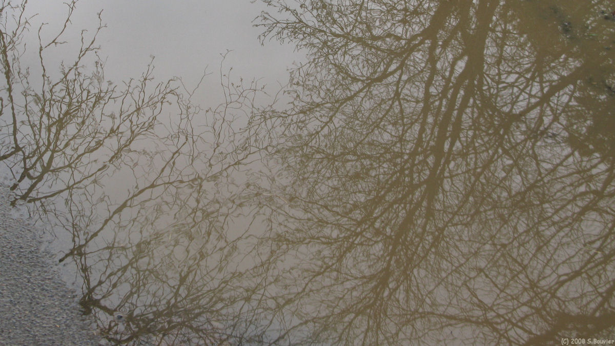 Heugleville sur Scie (Reflet)