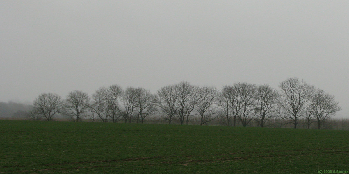 Saint Denis sur Scie (Plaine)