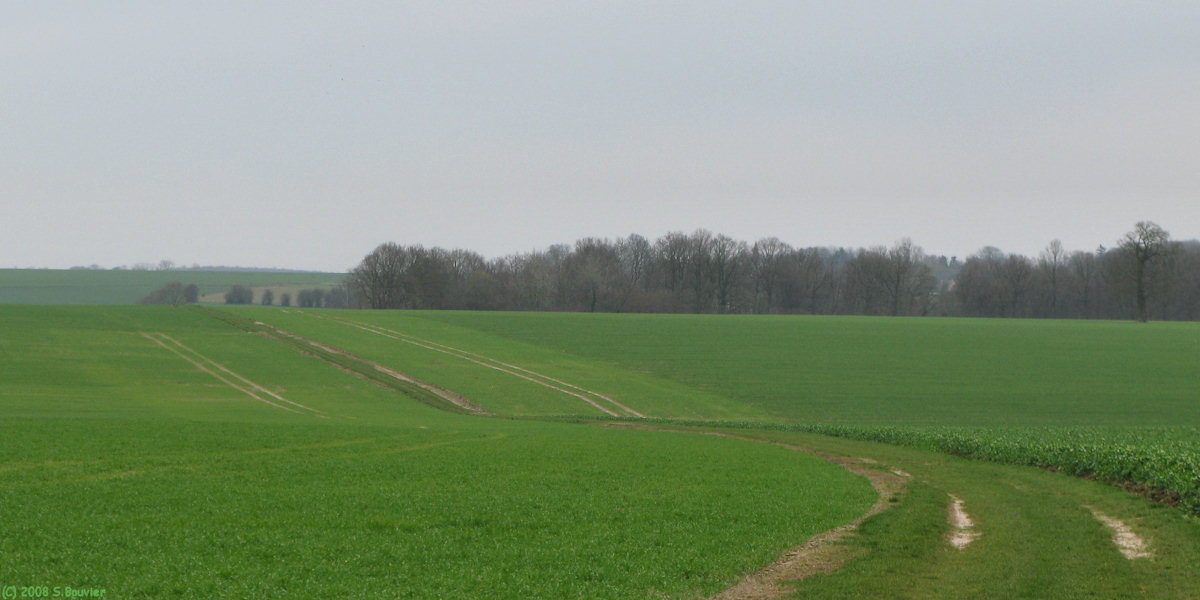 Bois d'Ennebourg (Chemin)