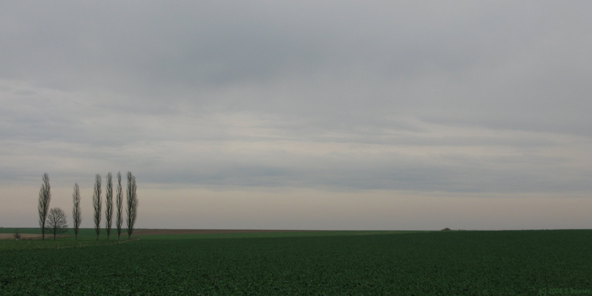 Bois l'Evêque (Arbres)