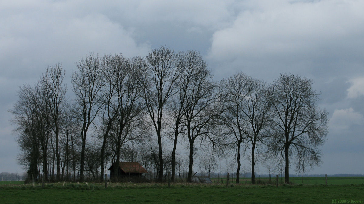 Flamanville (Cabane)