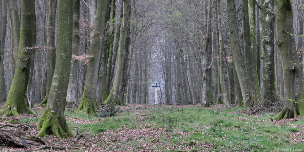 Haute Forêt d'Eu (Poteau 2)