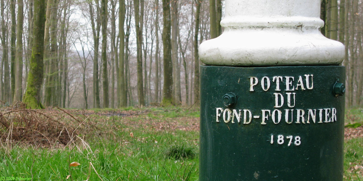 Haute Forêt d'Eu (Poteau 3)