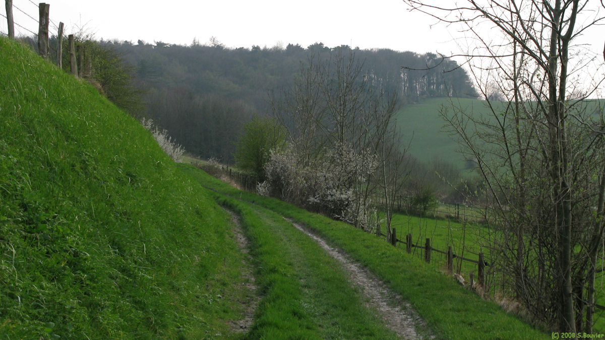 Blangy sur Bresle (Chemin)