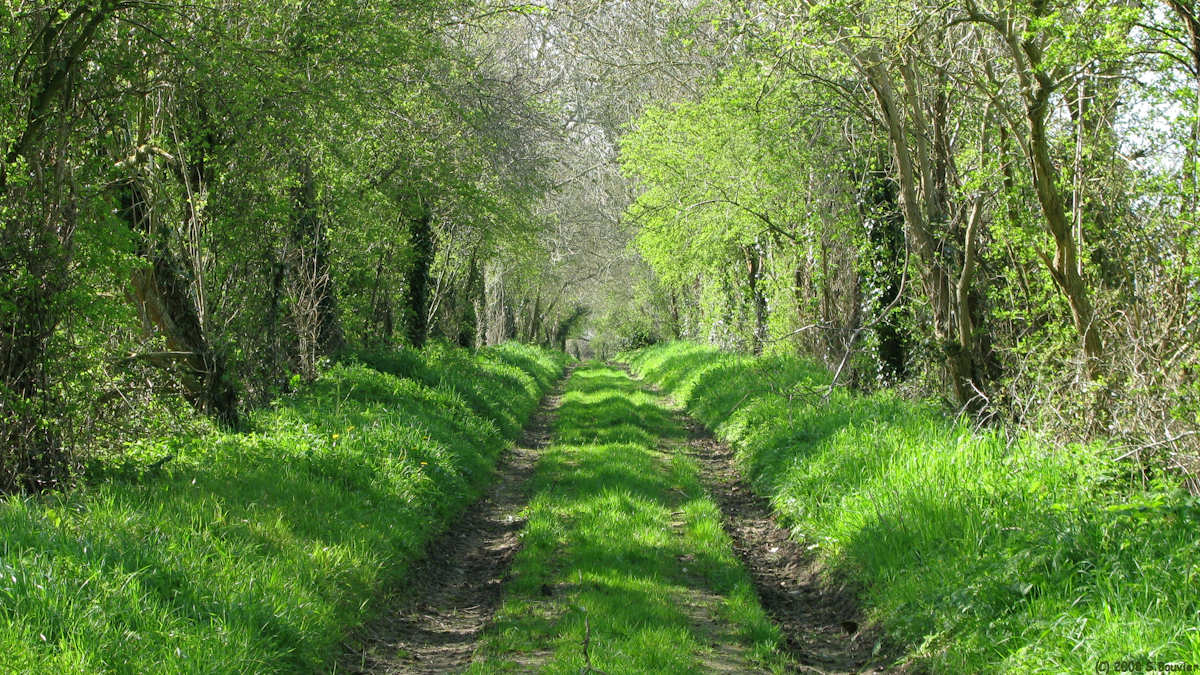 Géfosse Fontenay (Chemin 1)