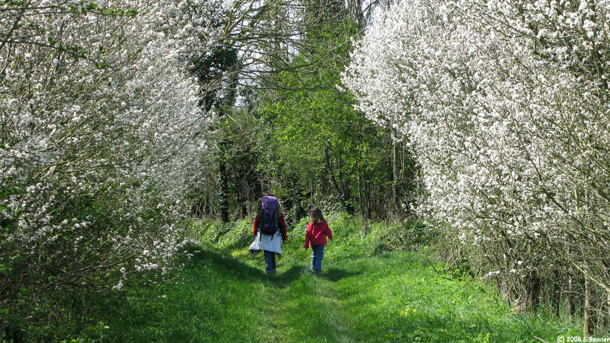 Englesqueville la Percée (Chemin 3)