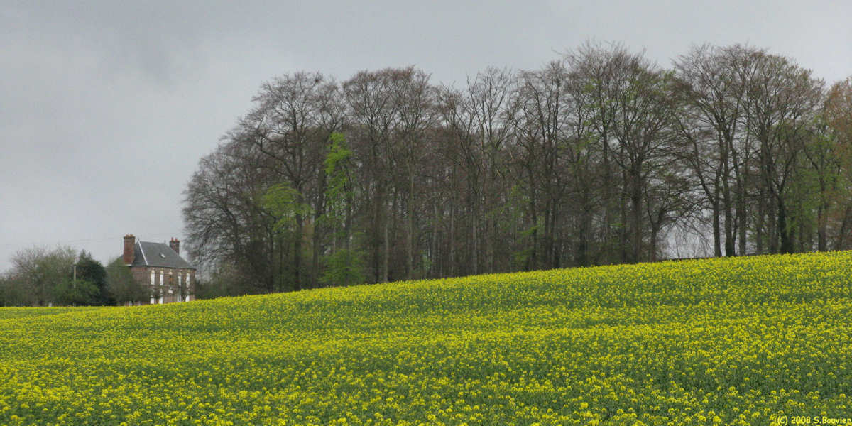 Doudeville (Vautuit 1)