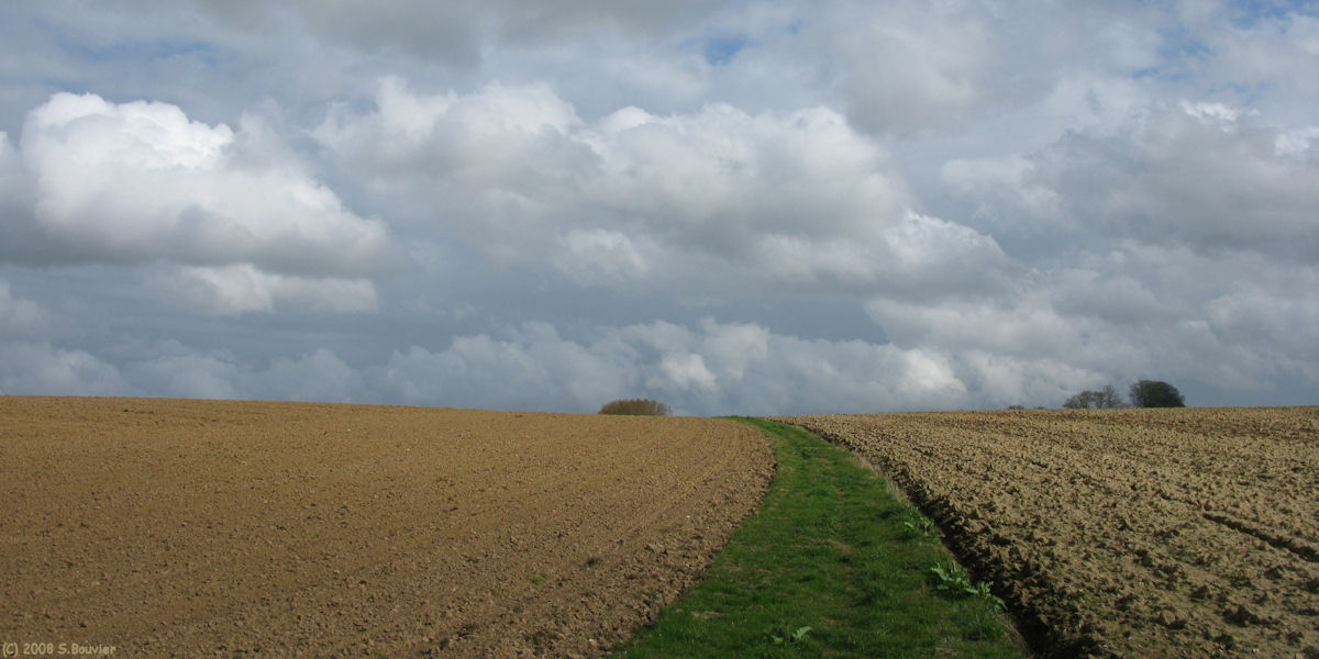Routes (Chemin)