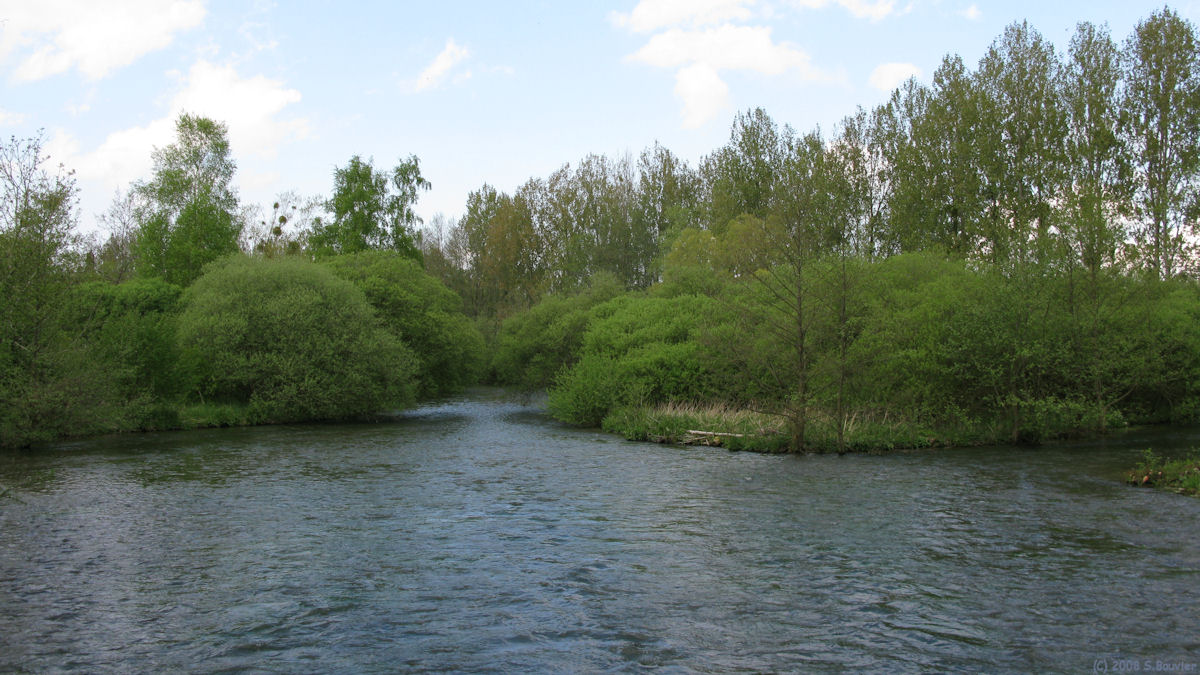 Nesle Normandeuse (Bresle)