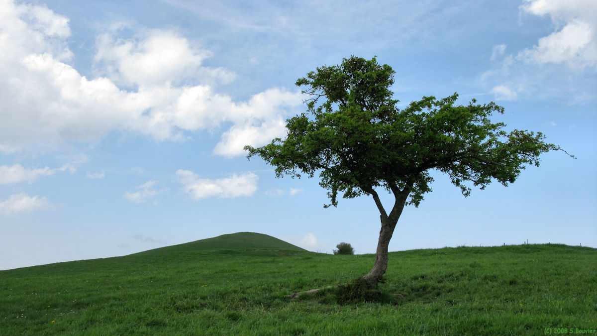 Nesle Normandeuse (Mont Faucon)