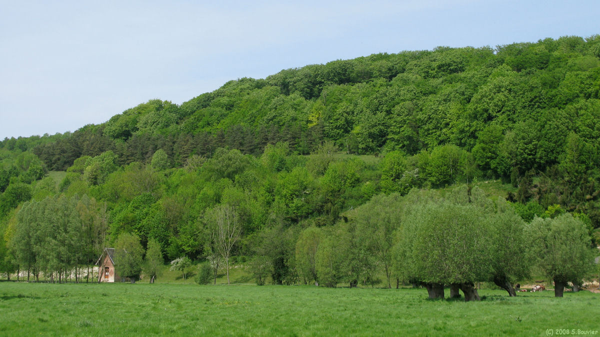 Inval Boiron (Prairie)