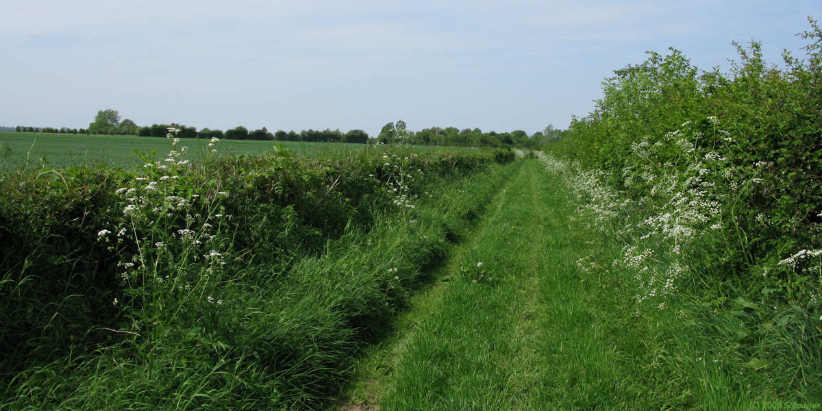 Andainville (Chemin)