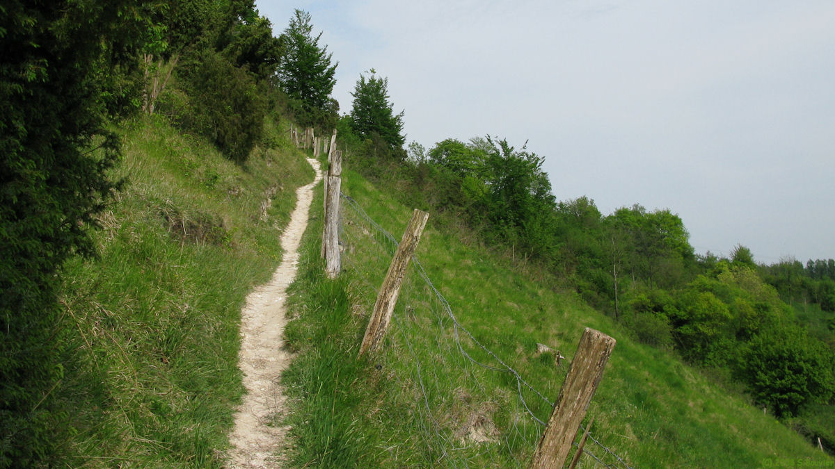 Le Quesne (Sentier)
