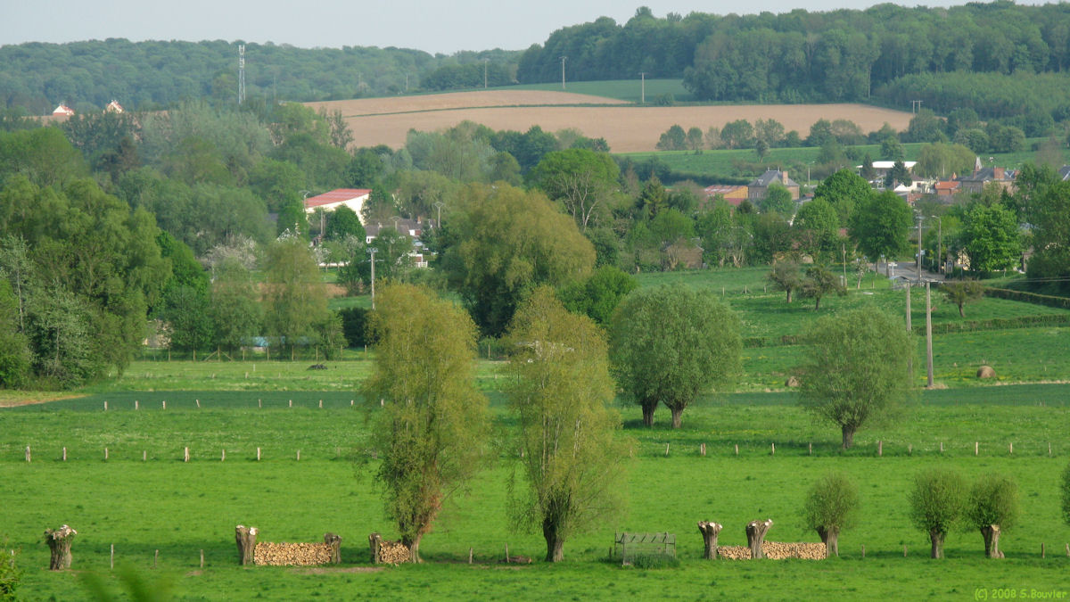 Le Quesne (Vallée)