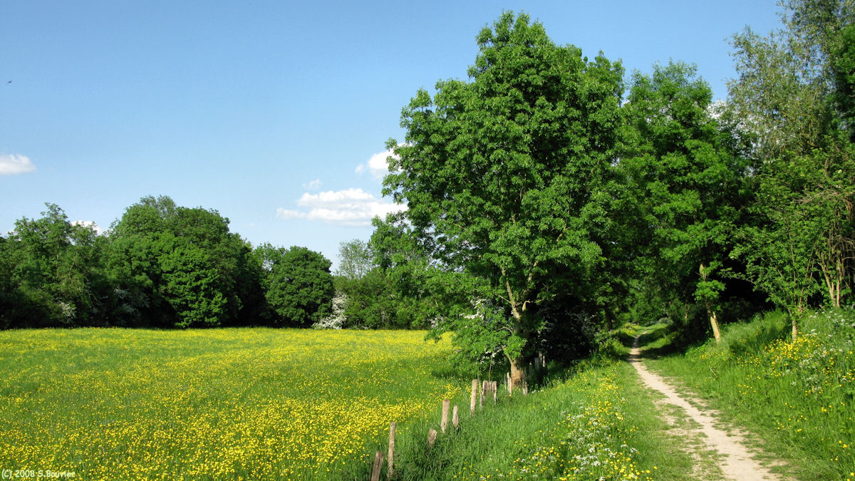 St Aubin les Elbeuf (Sentier 2)