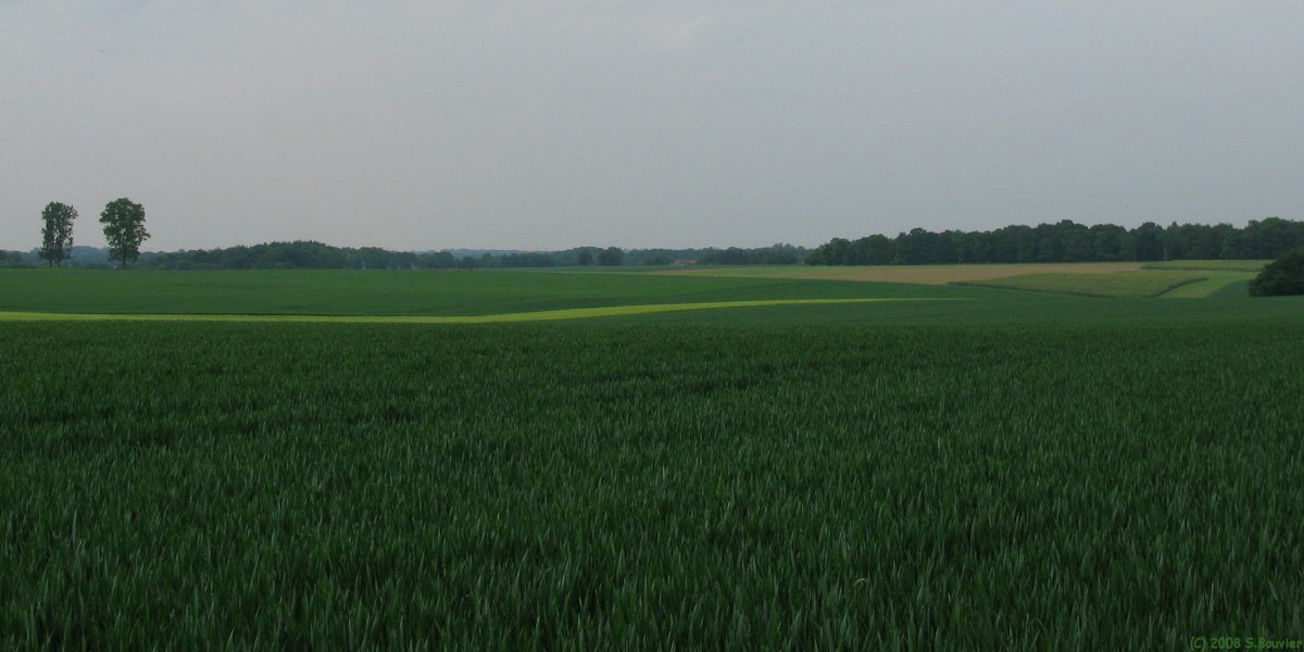 Quincampoix (Plaine)
